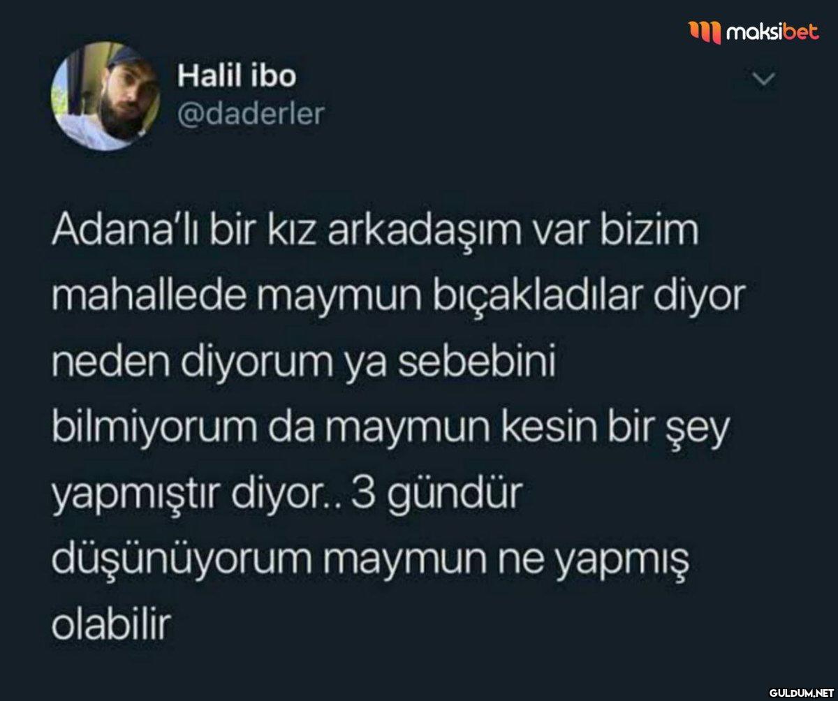 Halil ibo @daderler...