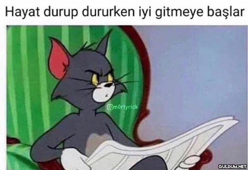 Hayat durup dururken iyi...
