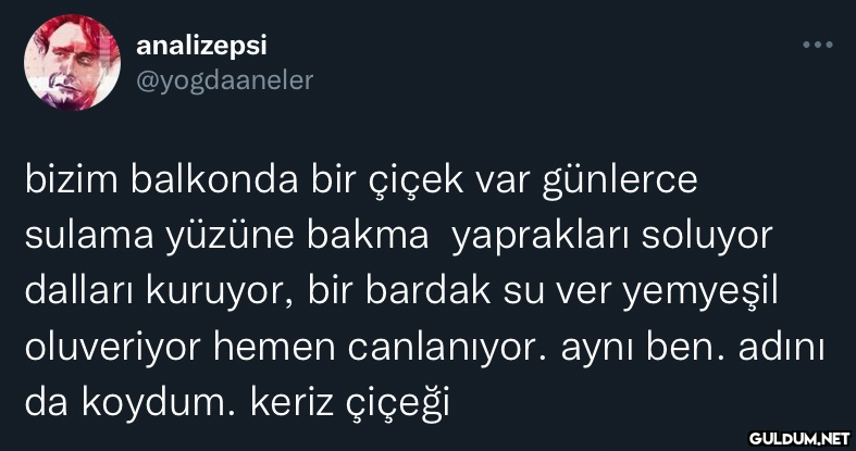 https://t.co/eTPUxTklHb ...
