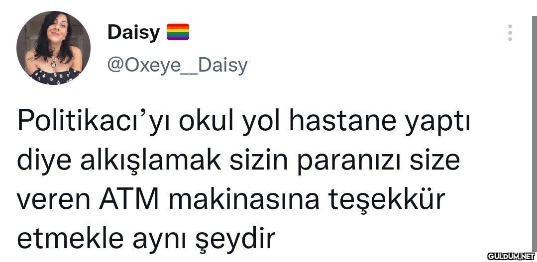Daisy @Oxeye_Daisy...