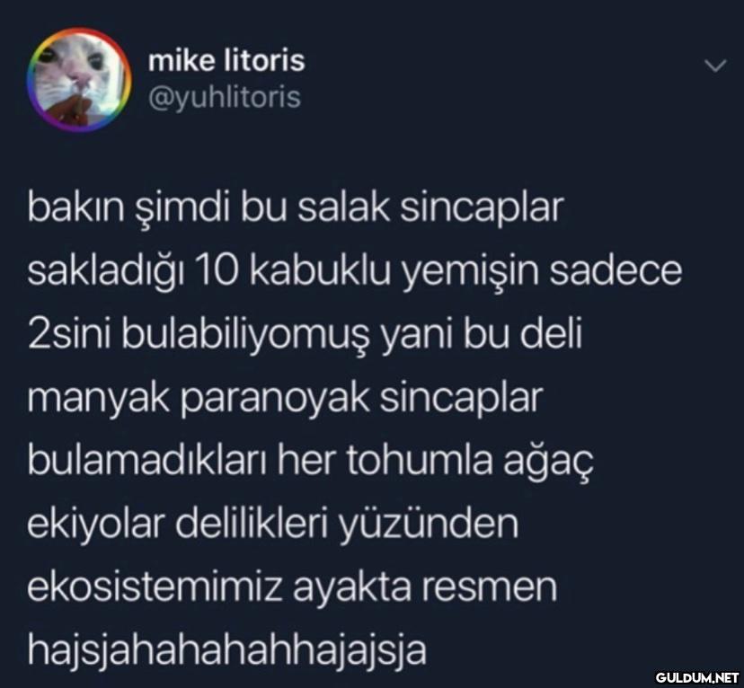 mike litoris @yuhlitoris...