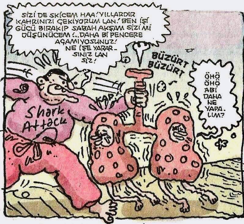 SEN DE IKI DE BIR ŞU...