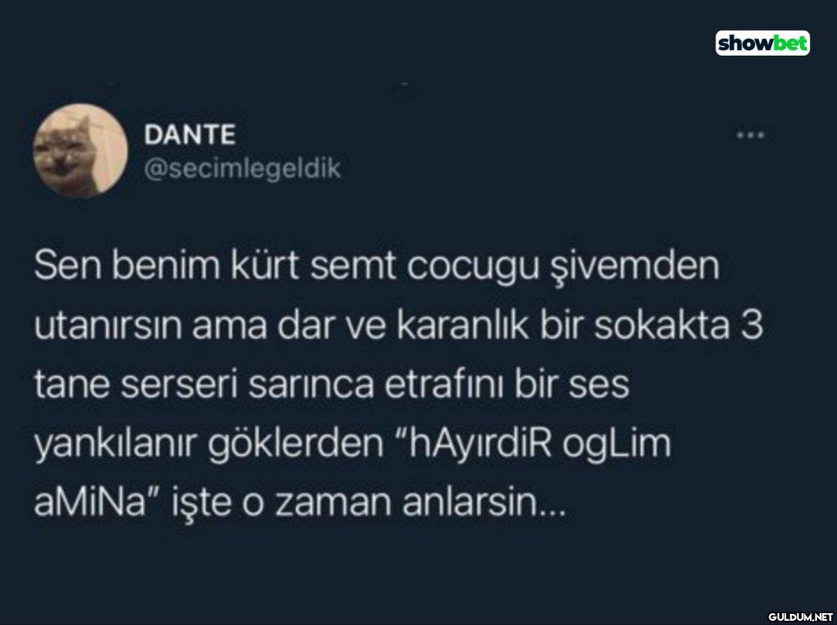DANTE @secimlegeldik...