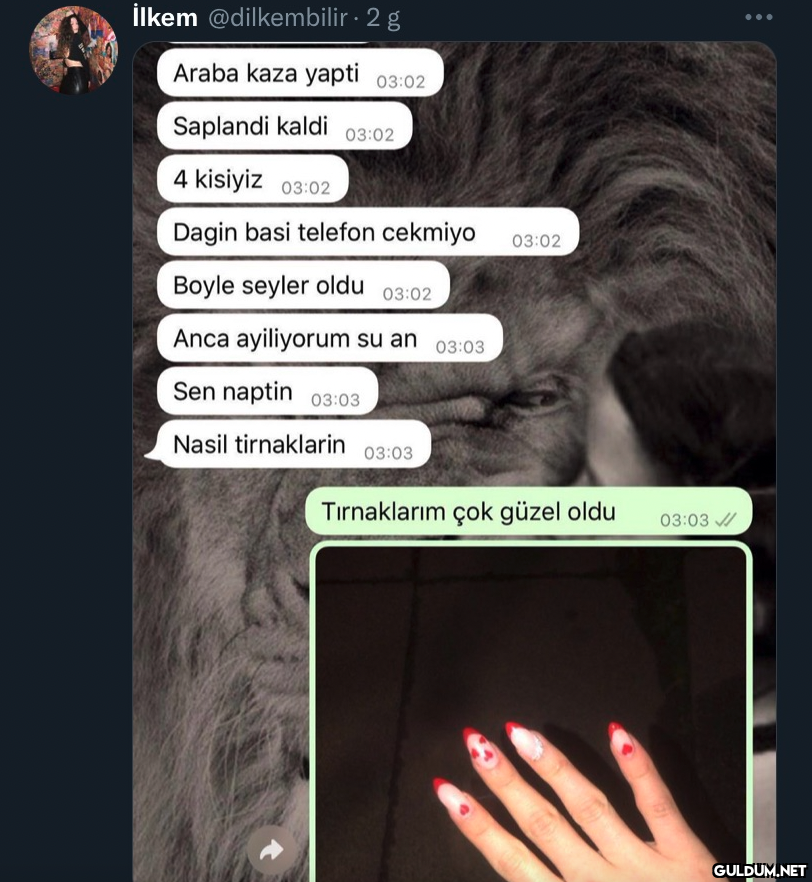 İlkem @dilkembilir. 2 g...