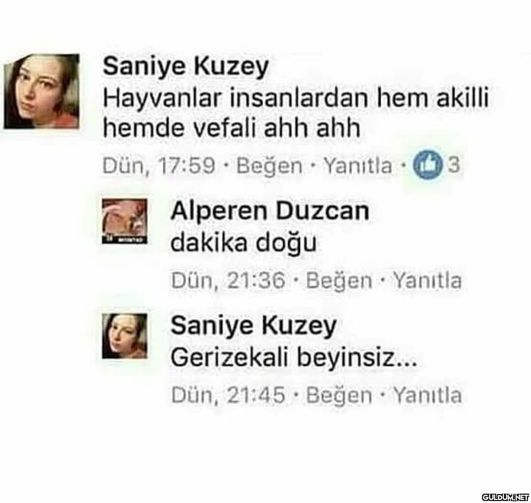 Günaydın...