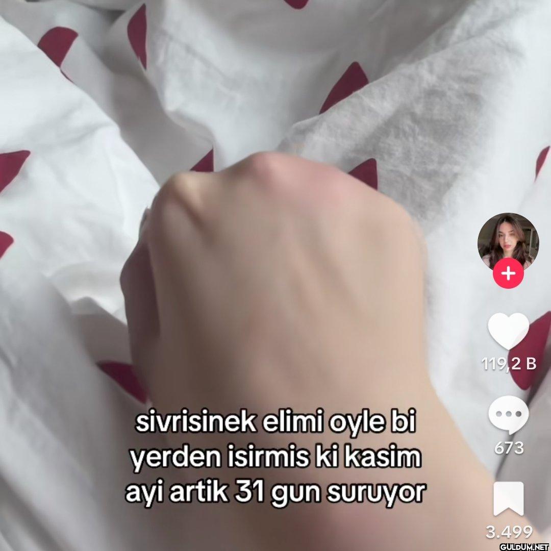 + 119,2 B sivrisinek elimi...