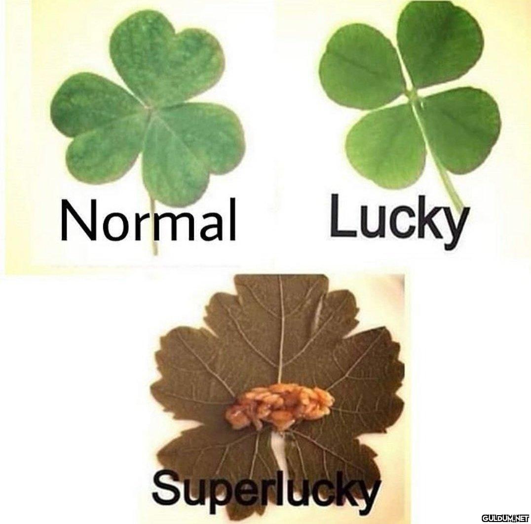Normal Lucky Superlucky   Kaynak