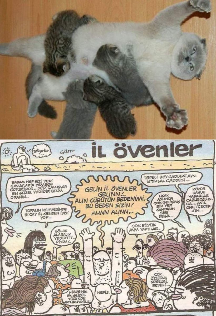 Gelin il övenler gelinn!.....
