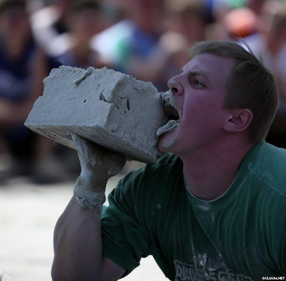 Annual Concrete eating...