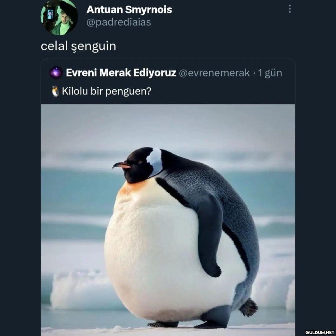 Bayılıyorum kelime...