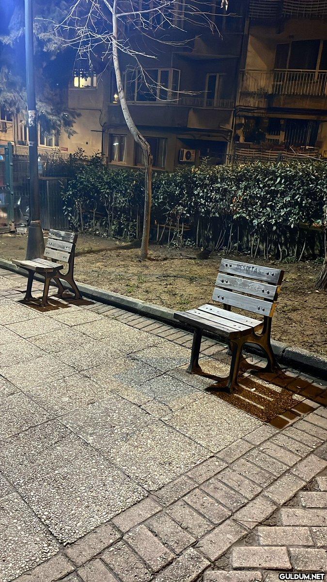 iki yabancı...