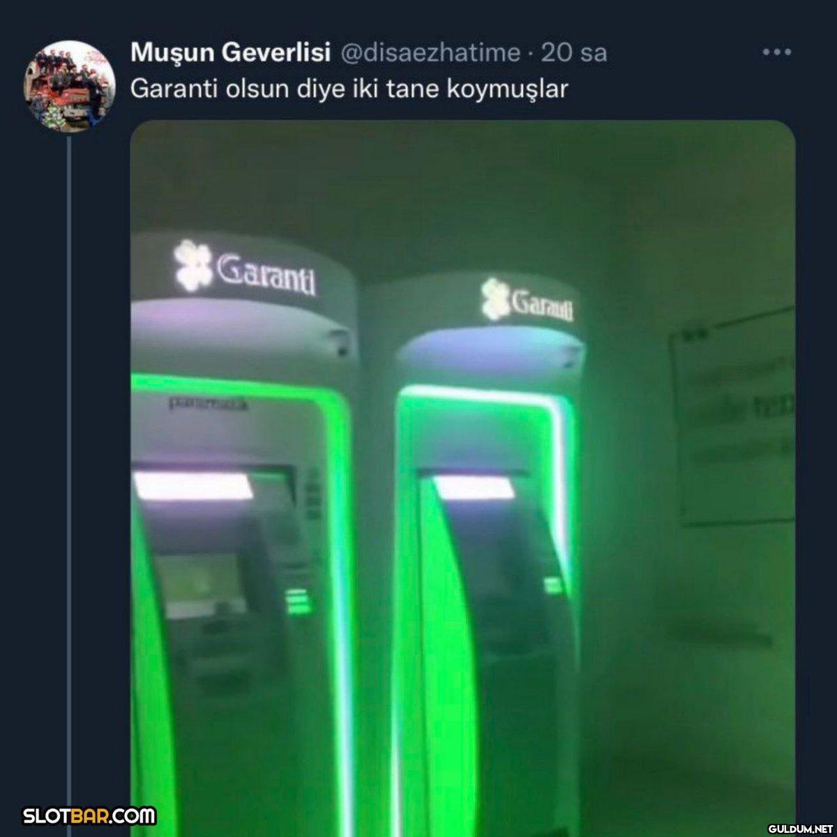 Muşun Geverlisi...