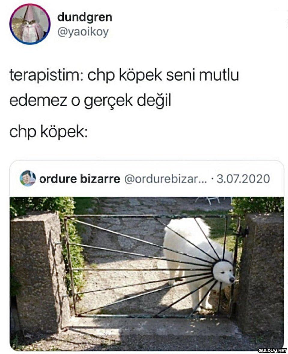 dundgren @yaoikoy...