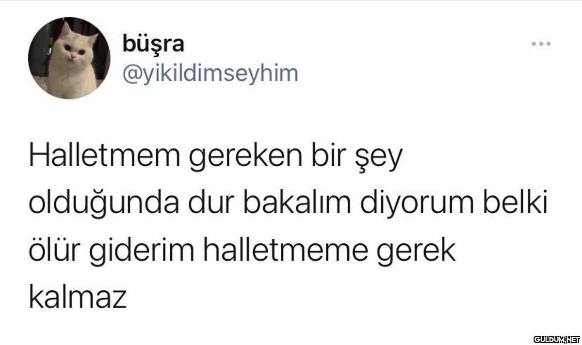 https://t.co/cnfT7wZSIa  ...