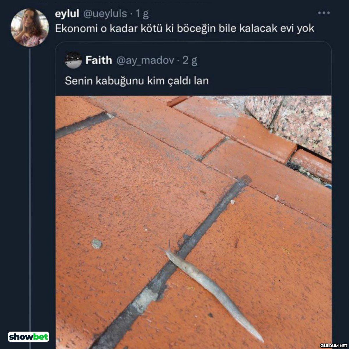 showbet eylul @ueyluls.1g...