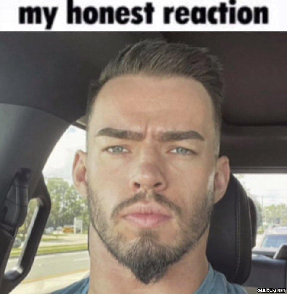 @_Theory1...