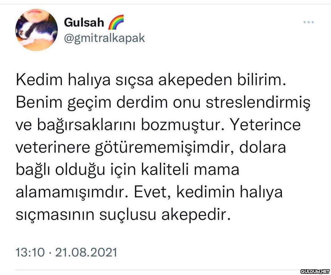 https://t.co/0Hq59ruxK4  ...