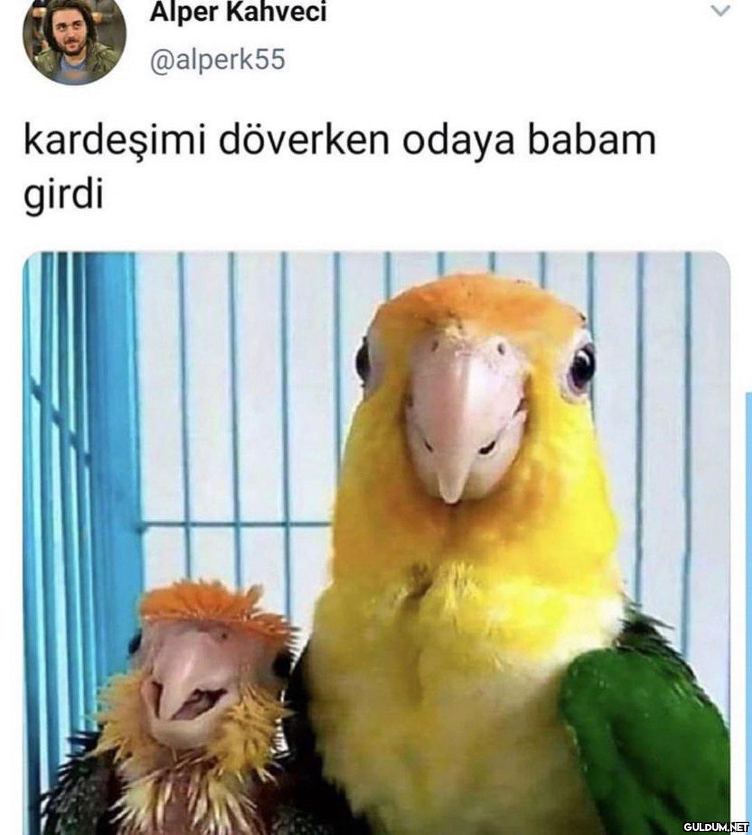 https://t.co/CrO8wiOgwc  ...