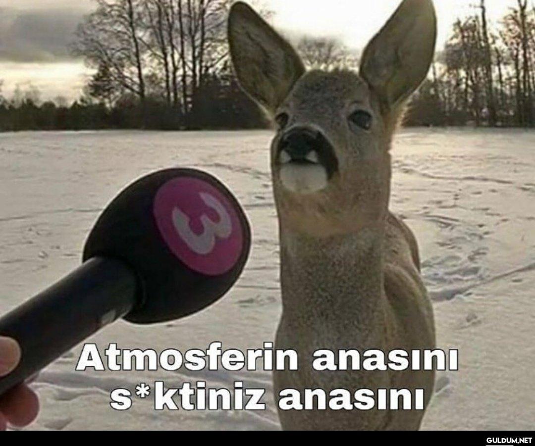 3 Atmosferin anasını...