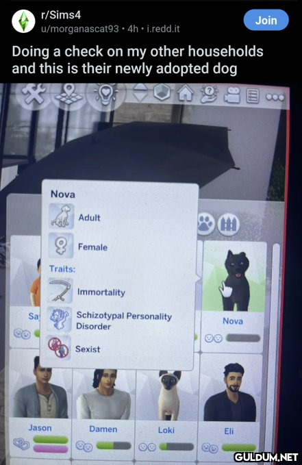 r/Sims4 Sa...