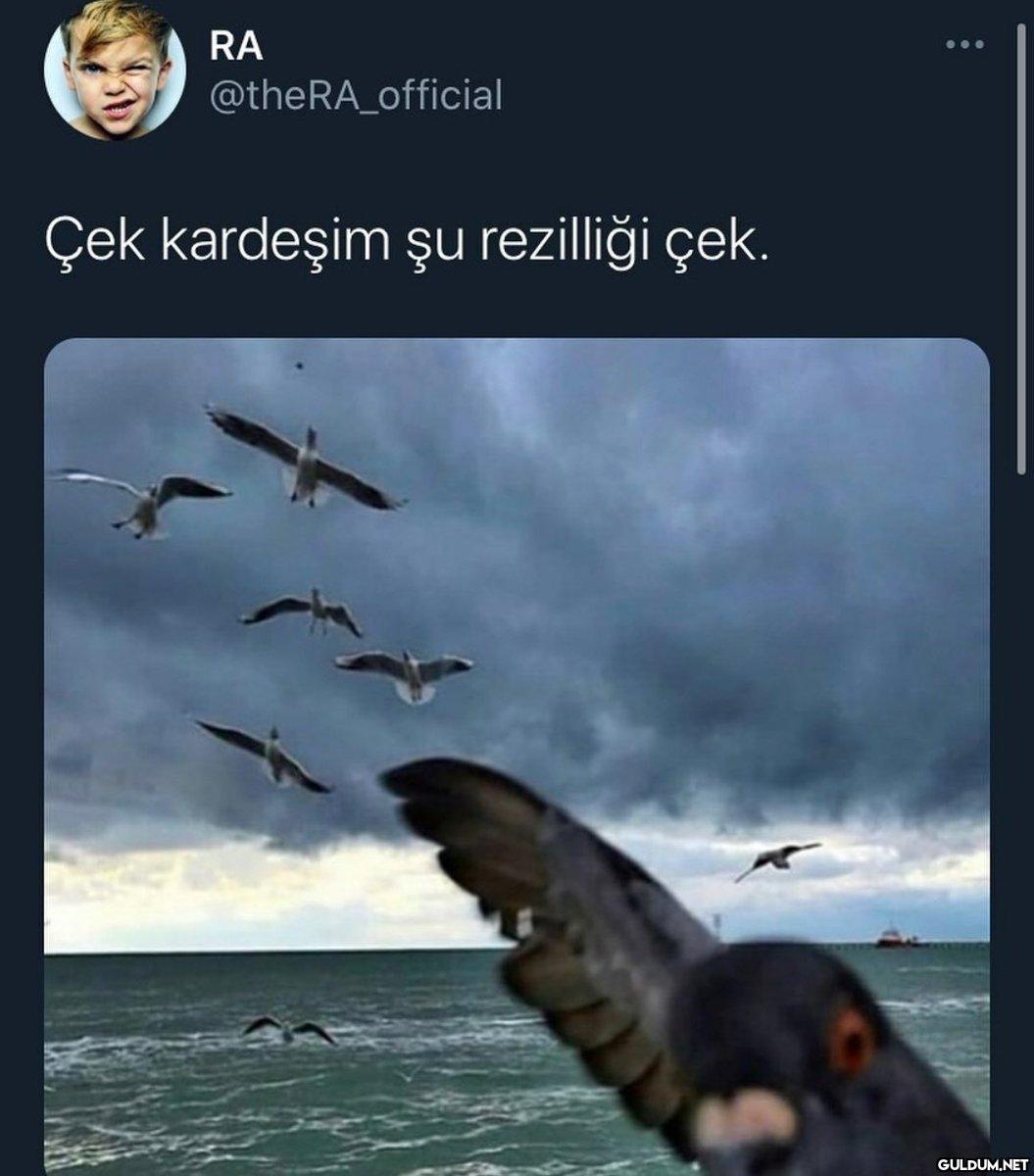 RA @theRA_official Çek...