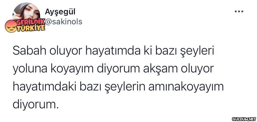Ayşegül GERİLDİK@sakinols...