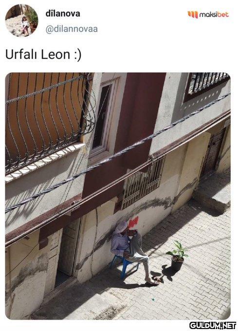Ahahahahahahhaha...