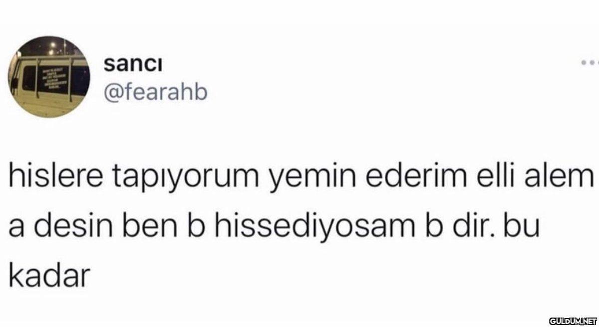 sanci @fearahb hislere...