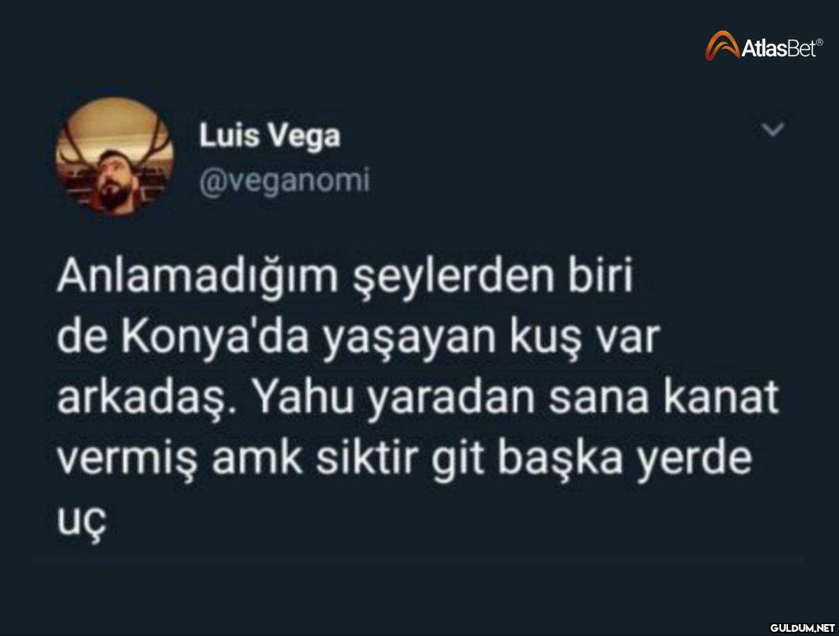 Luis Vega @veganomi...