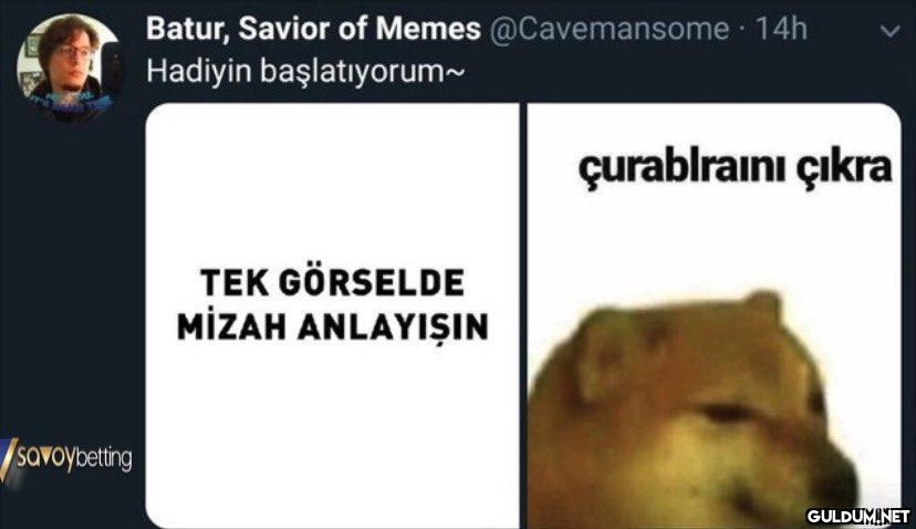 alıntılayalım...
