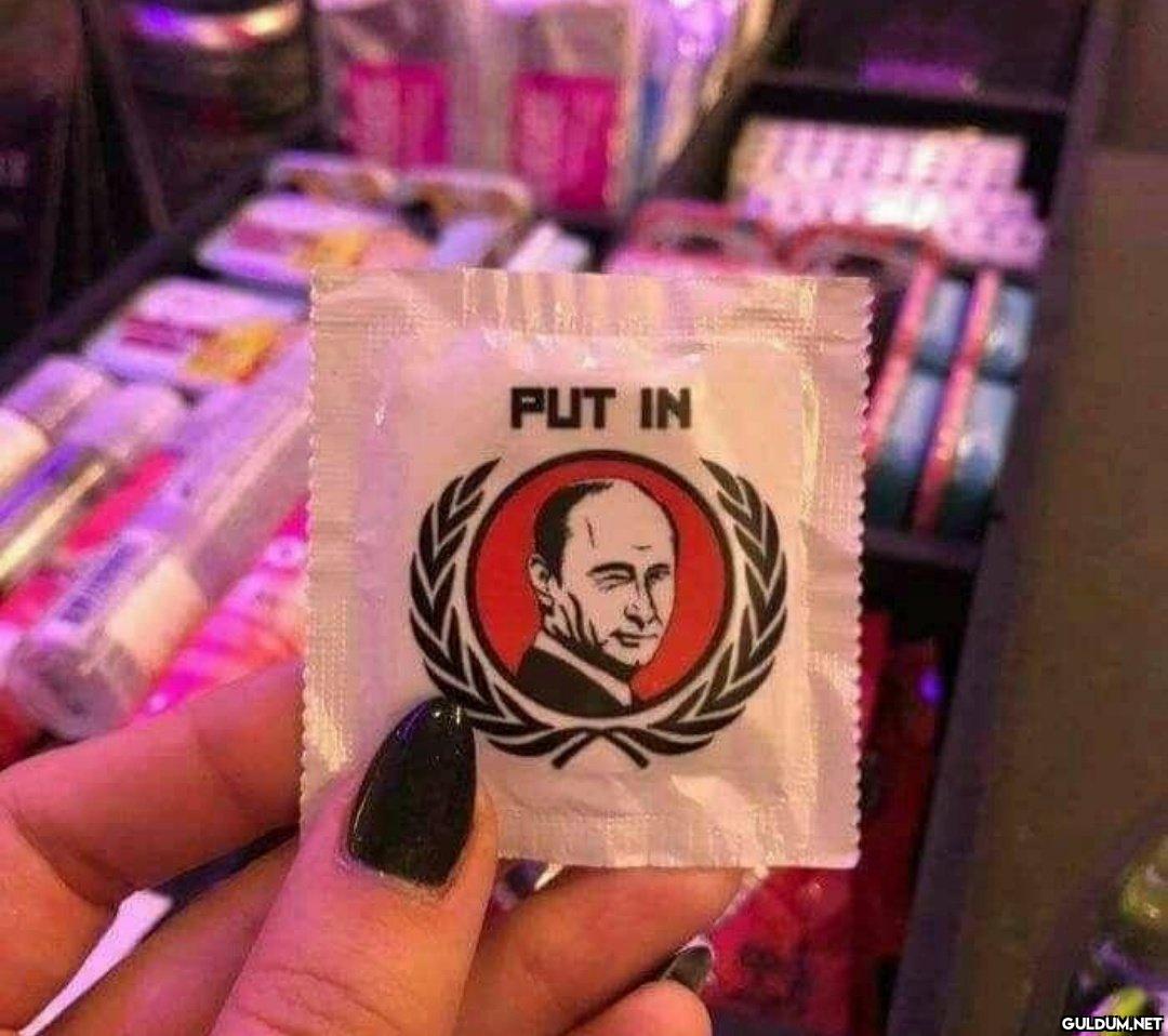 PUT IN   Kaynak