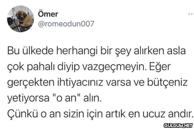 https://t.co/kJz9rCJVxg  ...