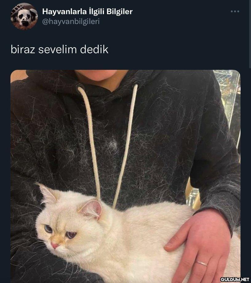 Hayvanlarla İlgili...