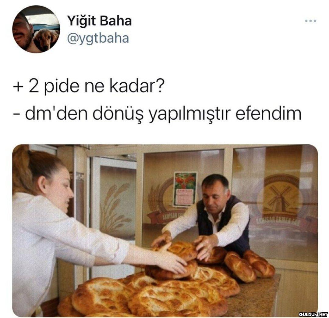 Yiğit Baha @ygtbaha + 2...