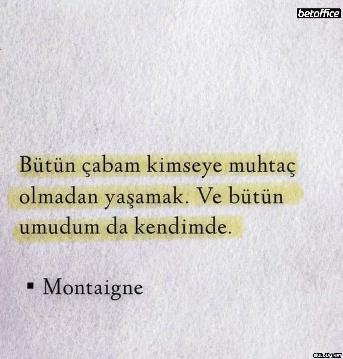 Bir Montaigne meselesi…...