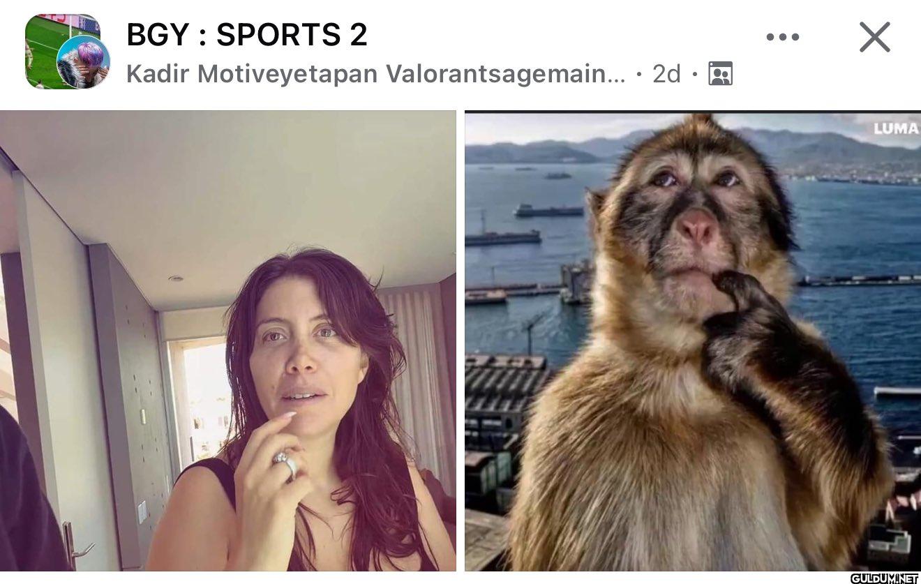 ŞWŞGŞŞWĞGĞWĞGĞWĞĞD    BGY...