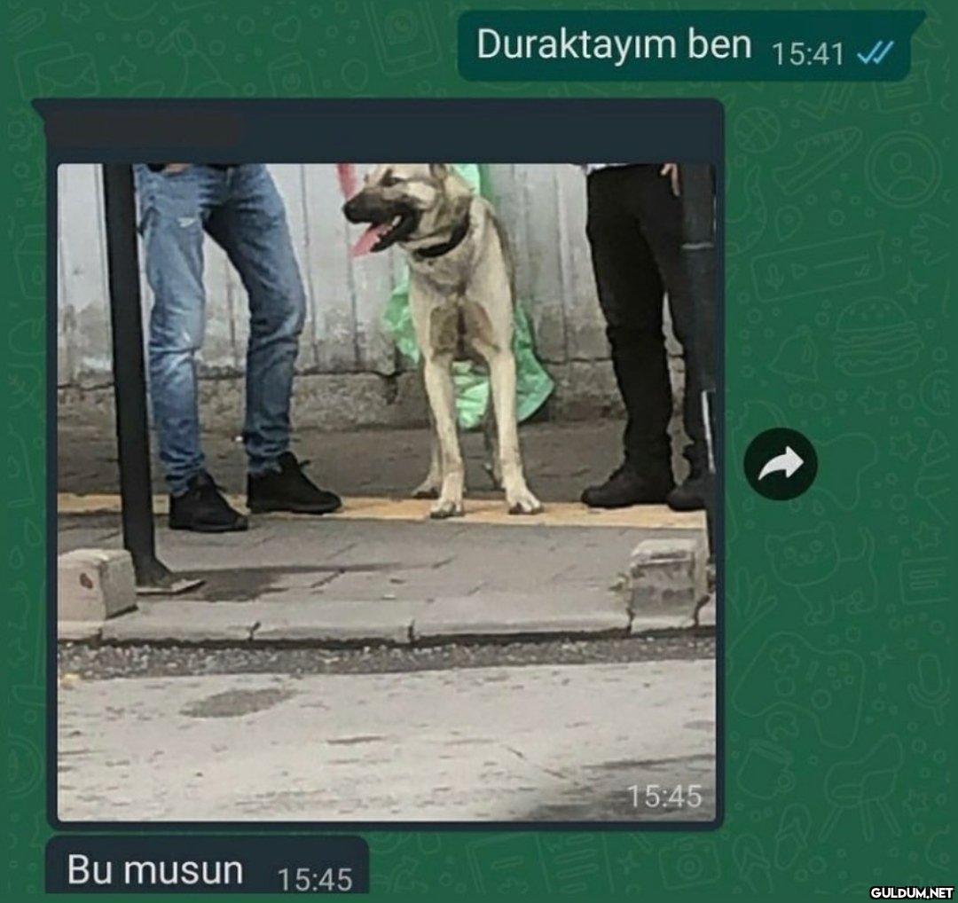 Bu musun 15:45 Duraktayım...
