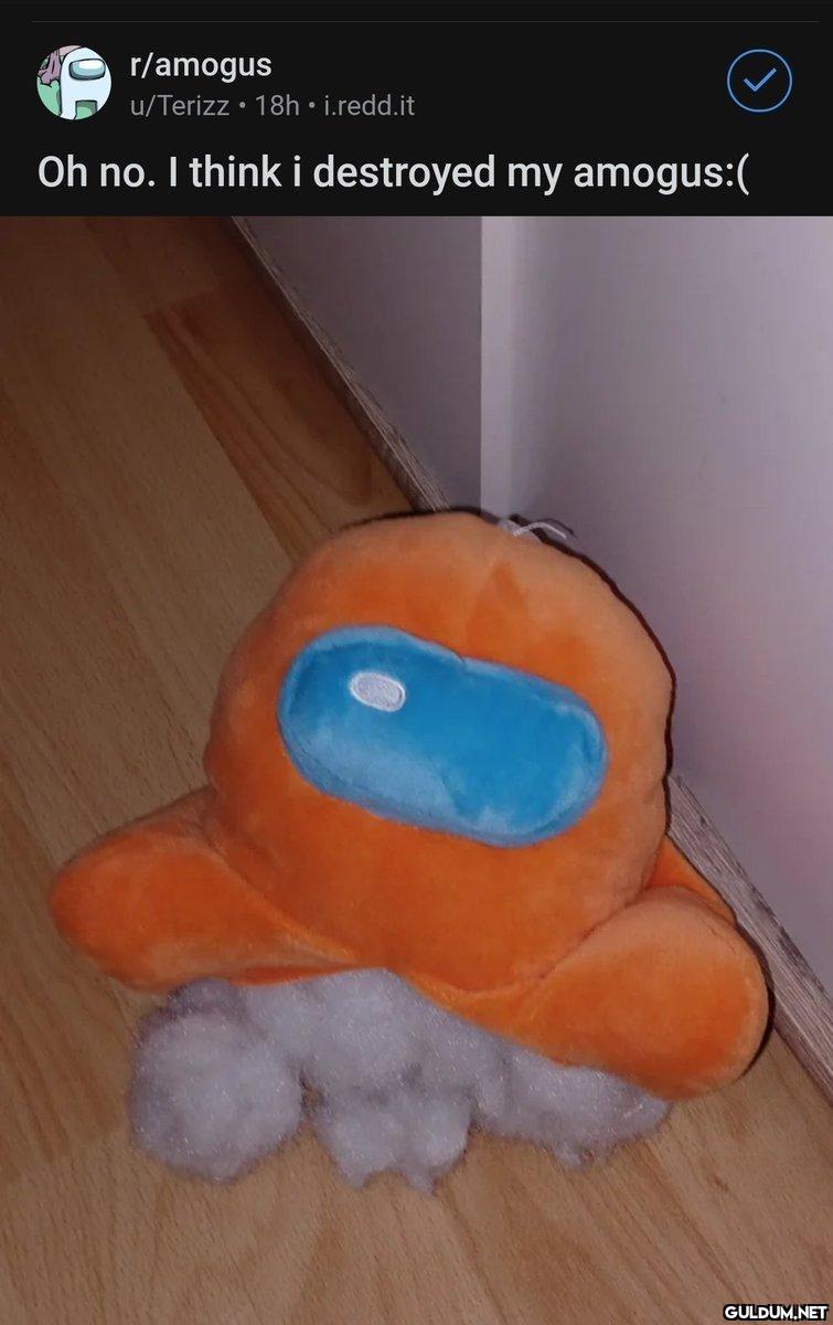 r/amogus u/Terizz 18h....