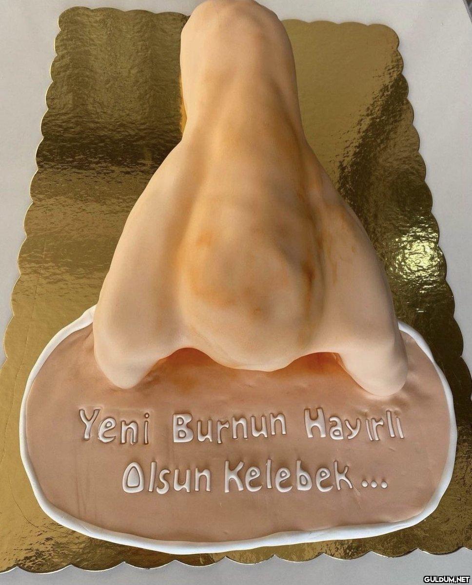 Yeni Burnun Hayırli Olsun...