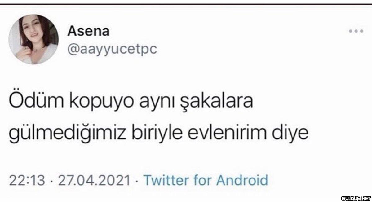 Asena @aayyucetpc Ödüm...