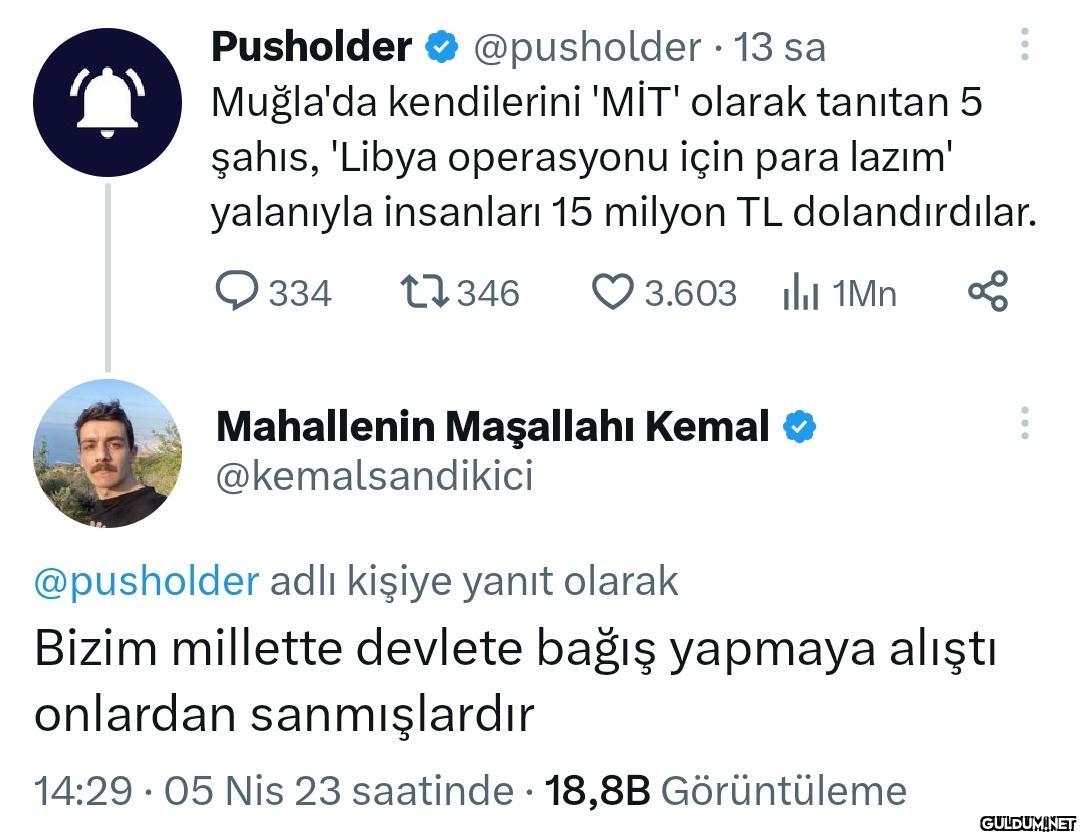 Pusholder @pusholder 13 sa...