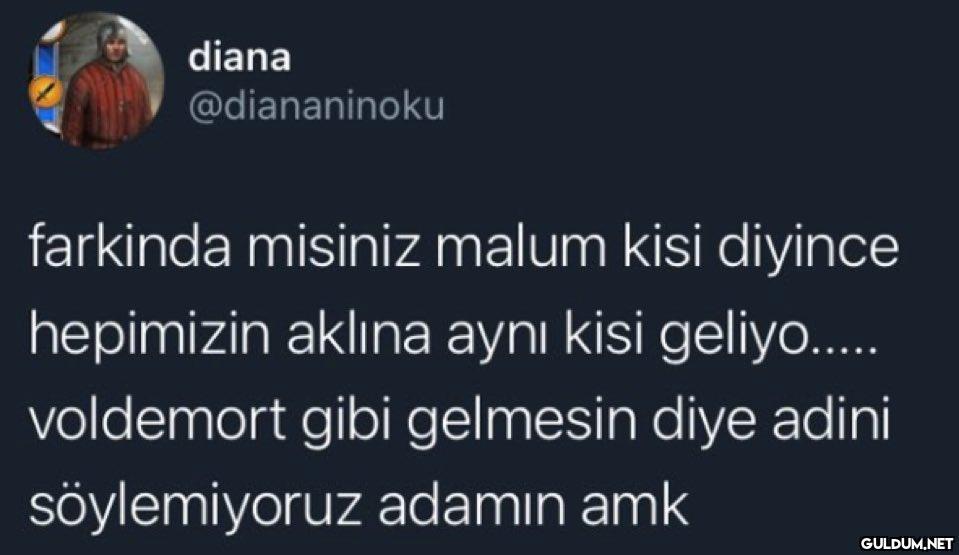 diana @diananinoku...