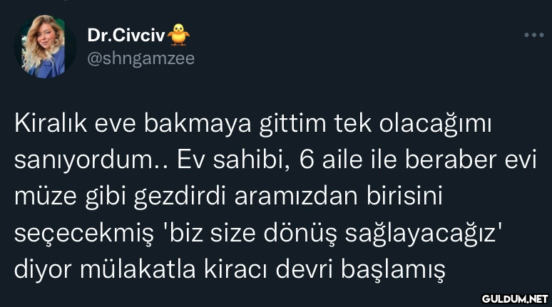 Dr.Civciv @shngamzee...