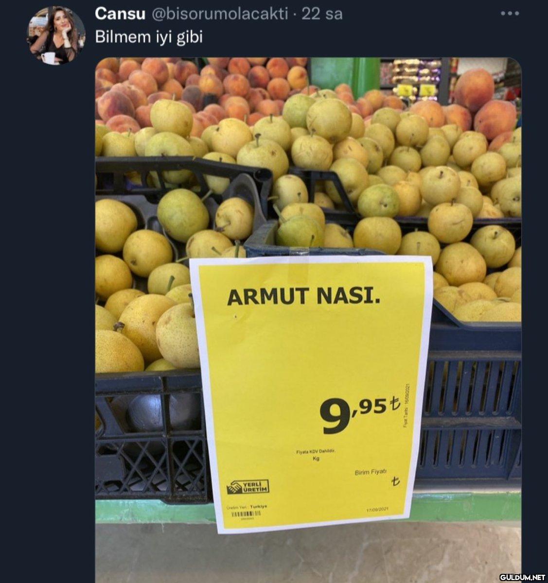 Cansu @bisorumolacakti 22...