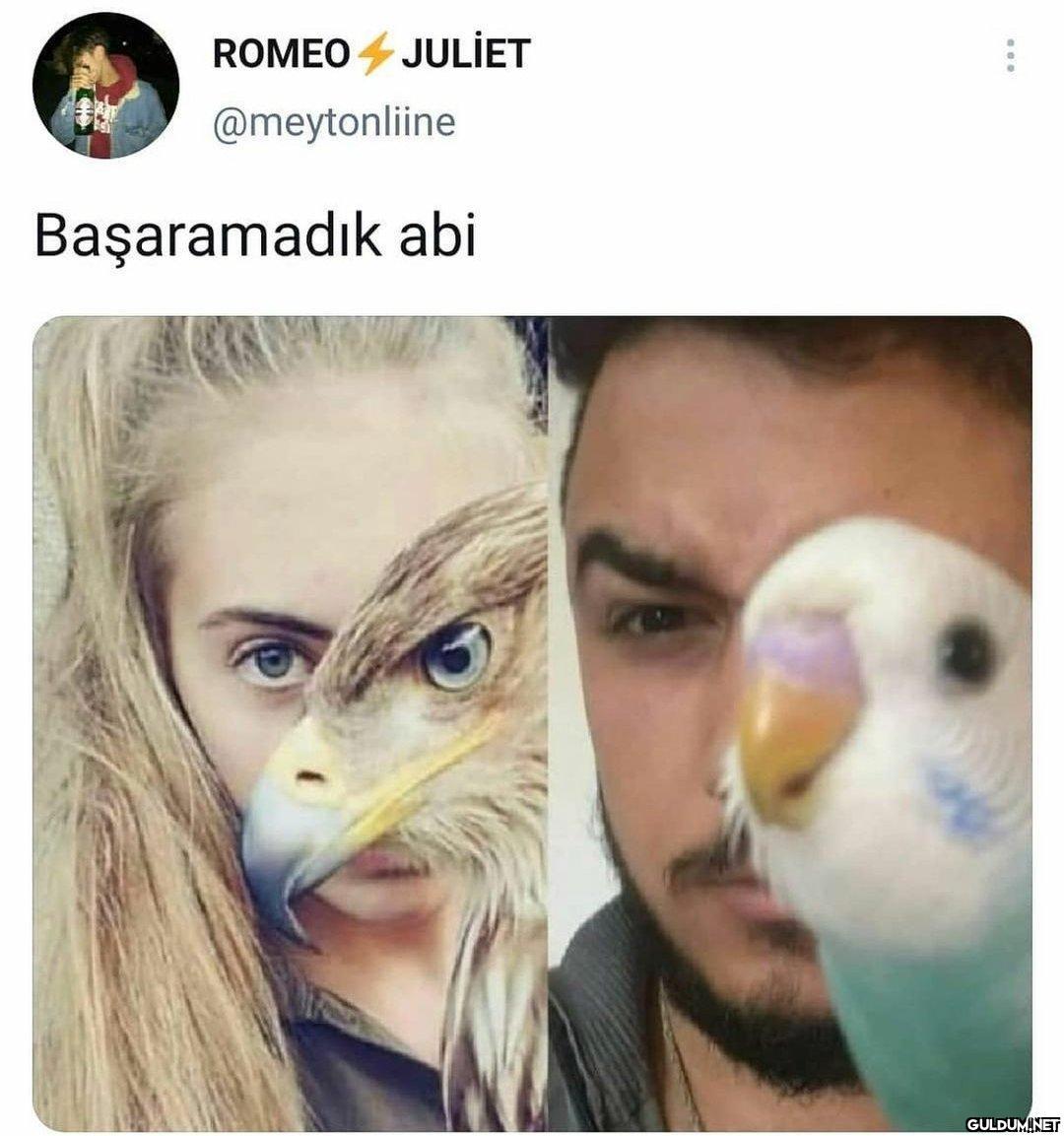 ROMEO JULIET @meytonliine...