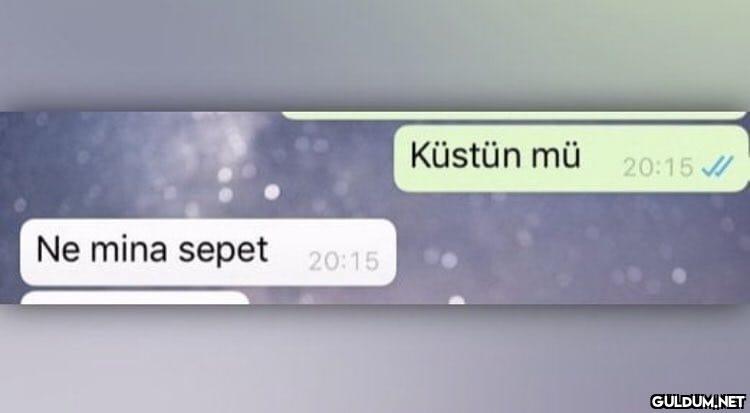 ne mina mina ee ee waka...