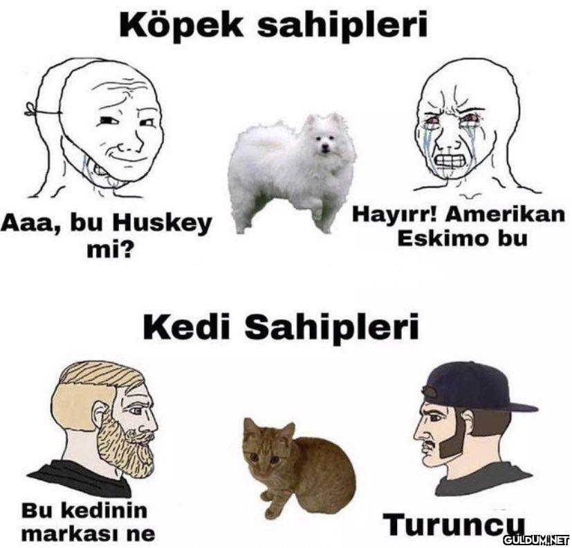 Köpek sahipleri Aaa, bu...