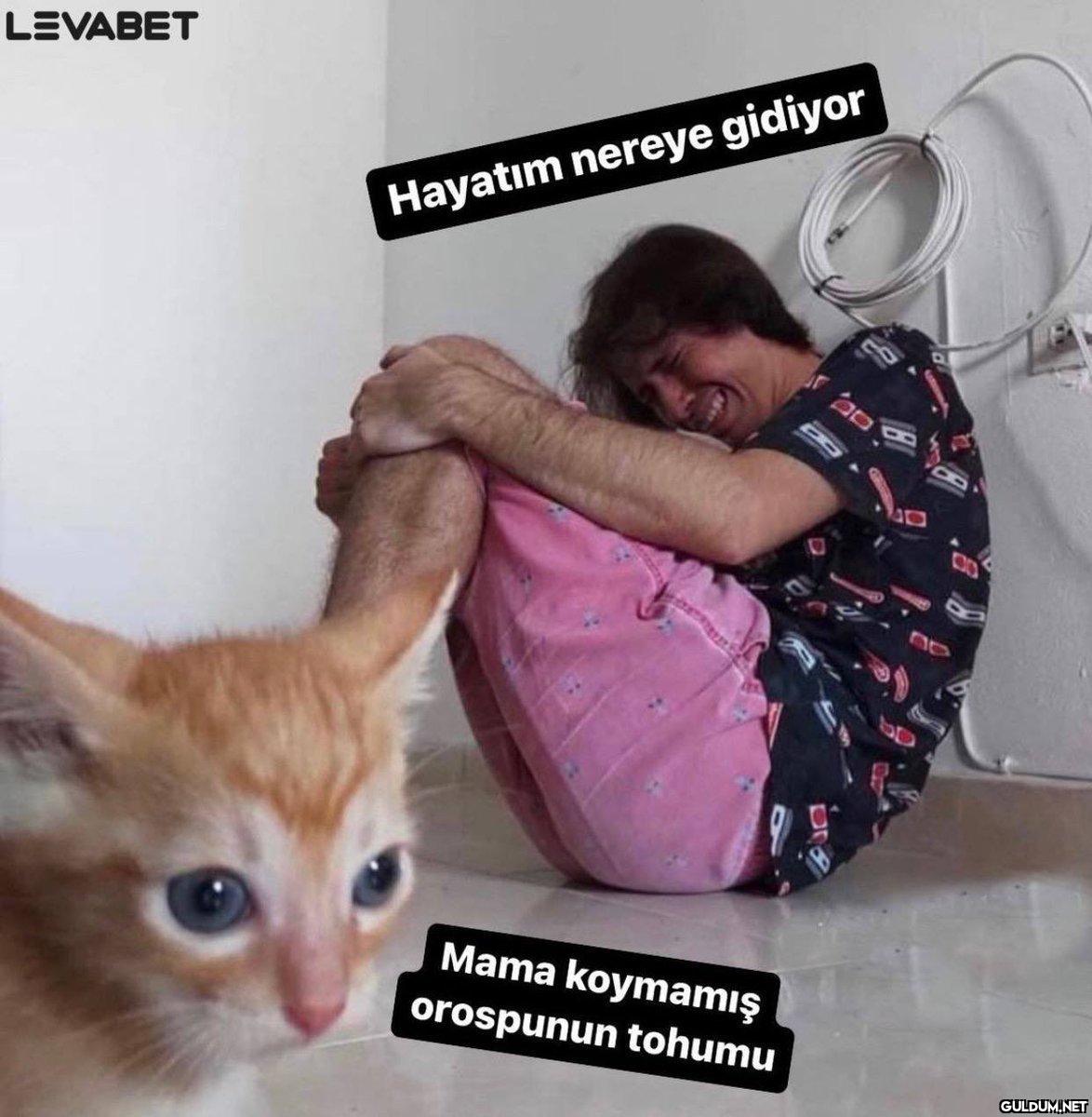 LEVABET Hayatım nereye...