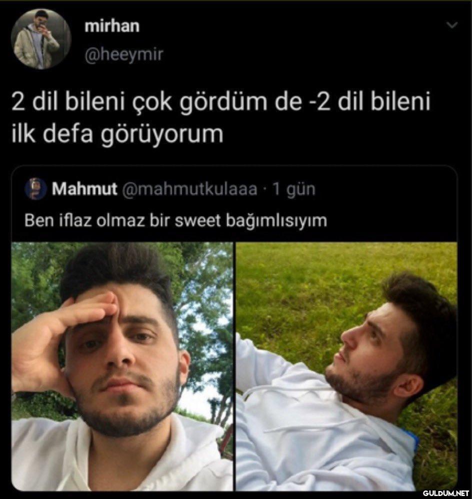 mirhan @heeymir 2 dil...