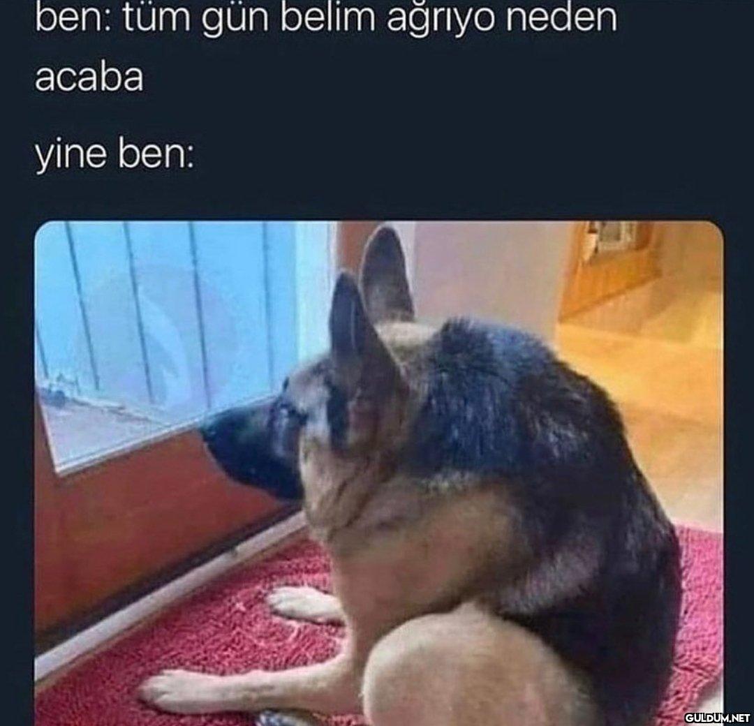 ben: tüm gün belim ağrıyo...